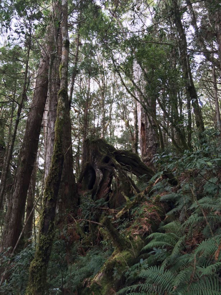 散落的珍珠-加羅湖_565096