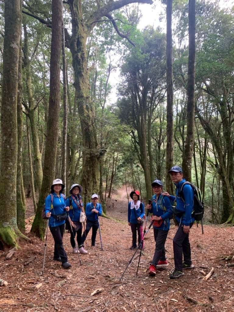 觀霧瀑布 賞鳥步道_2926520