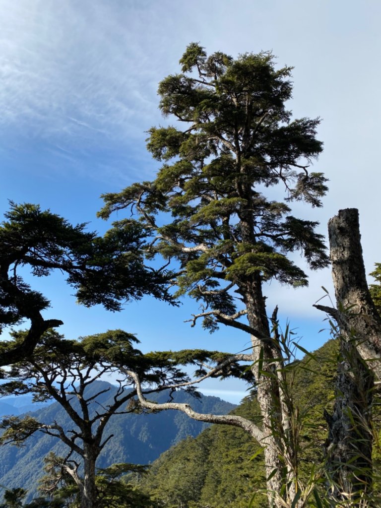 一日單攻白姑大山_821540