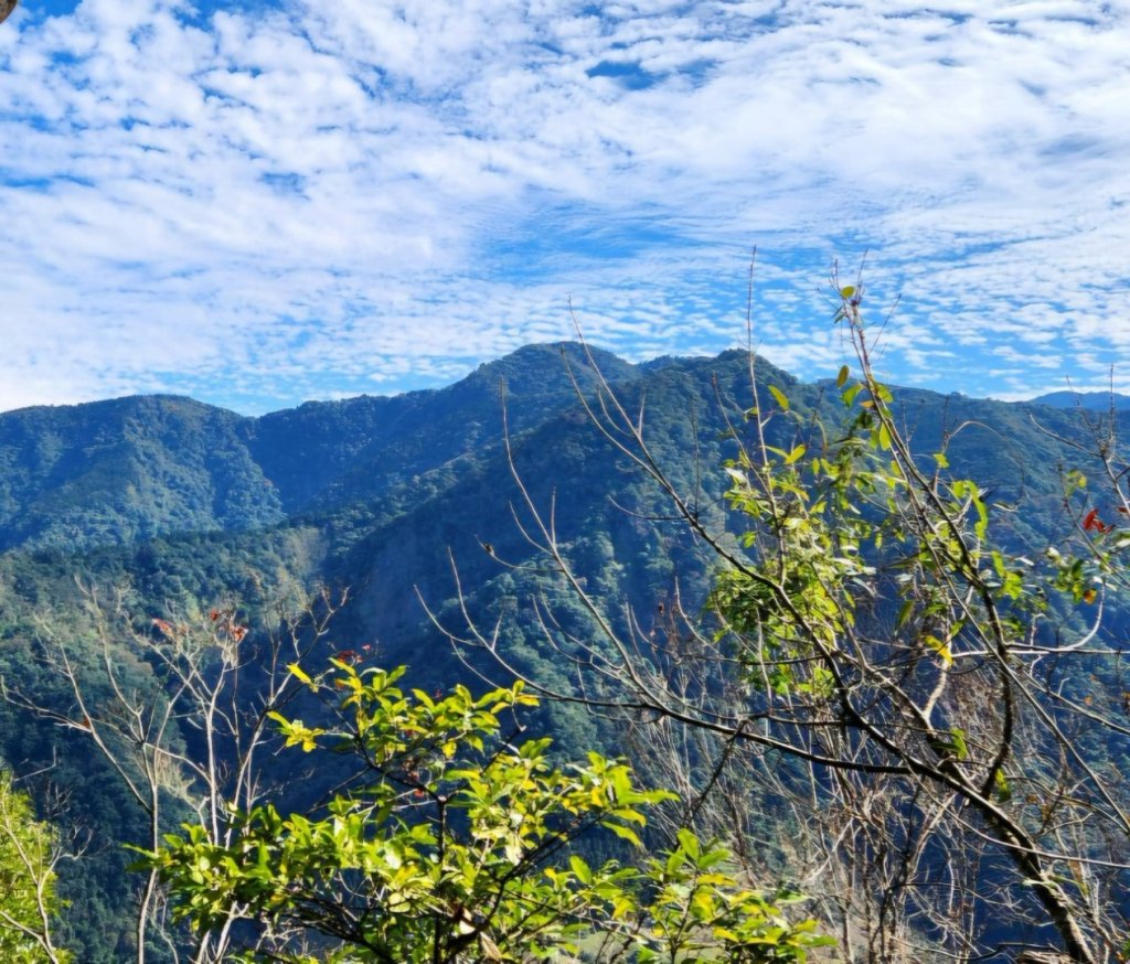 【中級山縱走 】向天湖山，三角湖山，光天高山_2742245