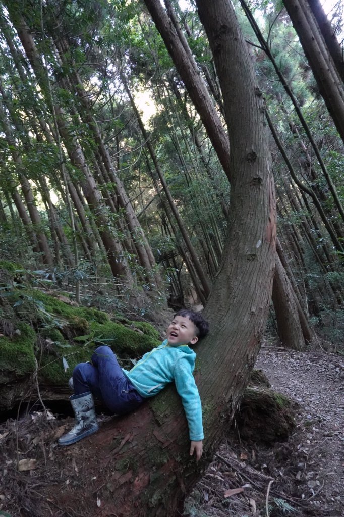 阿興阿賢大霸群峰補考成功_2141599