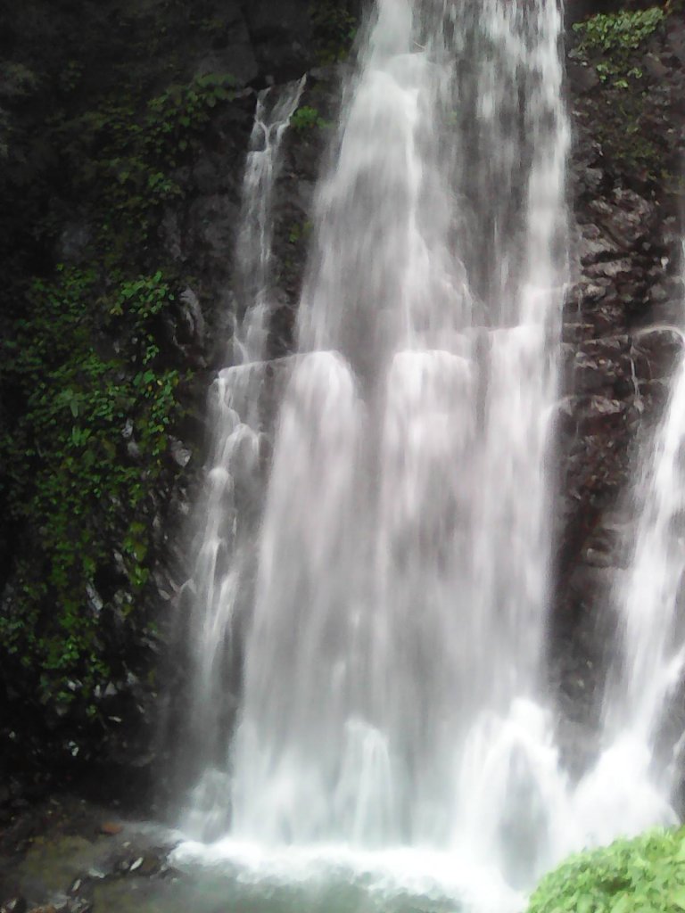 滿月圓國家森林遊樂區封面圖