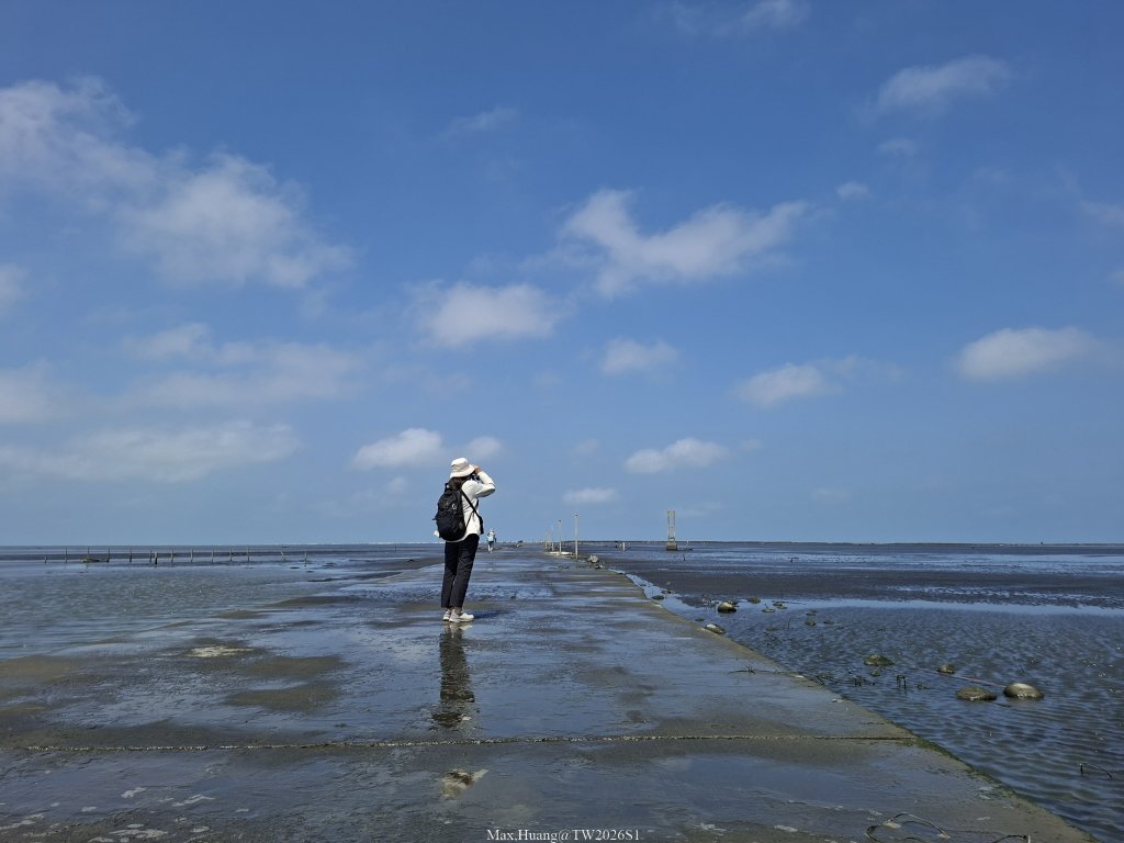 《彰化》海中步道｜漢寶濕地芳苑濕地健行賞鳥20260315封面圖