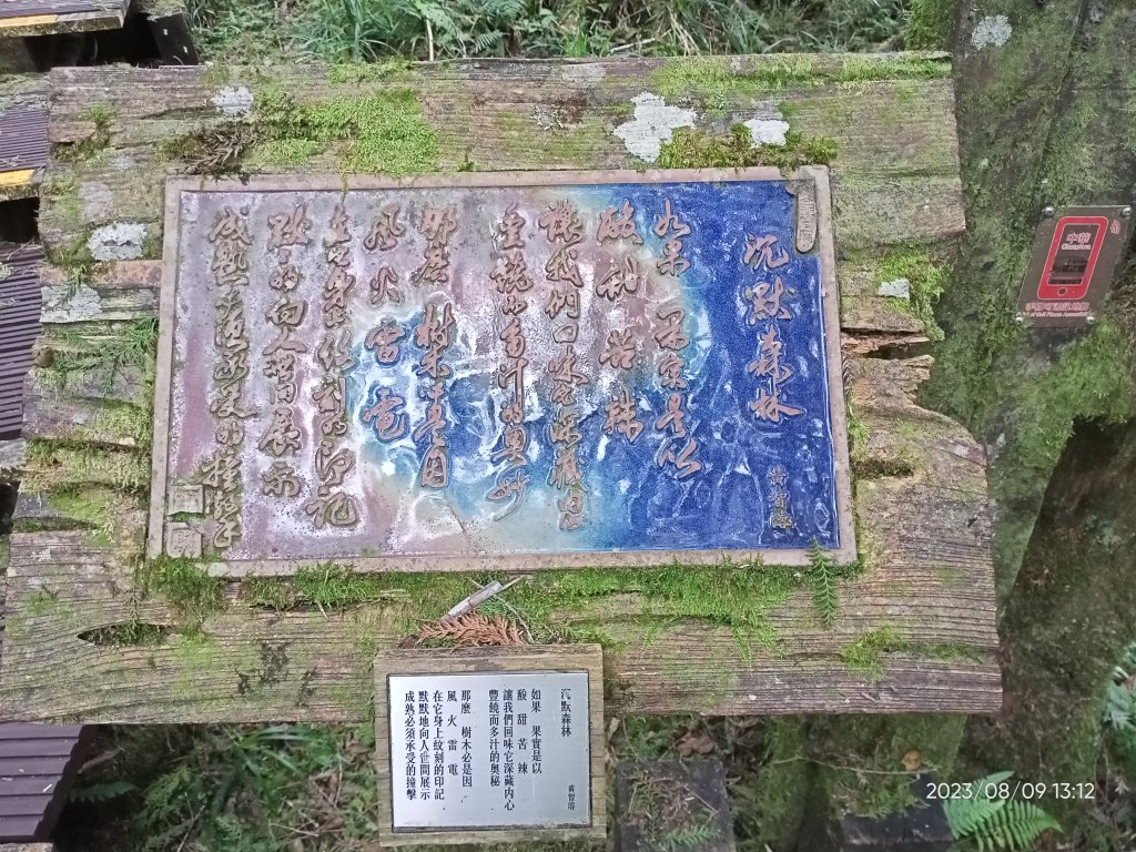宜蘭太平山 - 檜木原始林步道、鐵杉林自然步道（2-2 太平詩路至翠峰景觀道路）【走路趣尋寶】_2245253