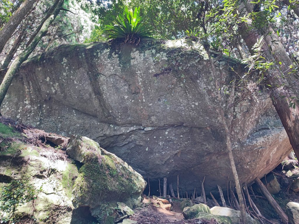 加里山-小百岳#34-苗栗縣南庄鄉_2236728