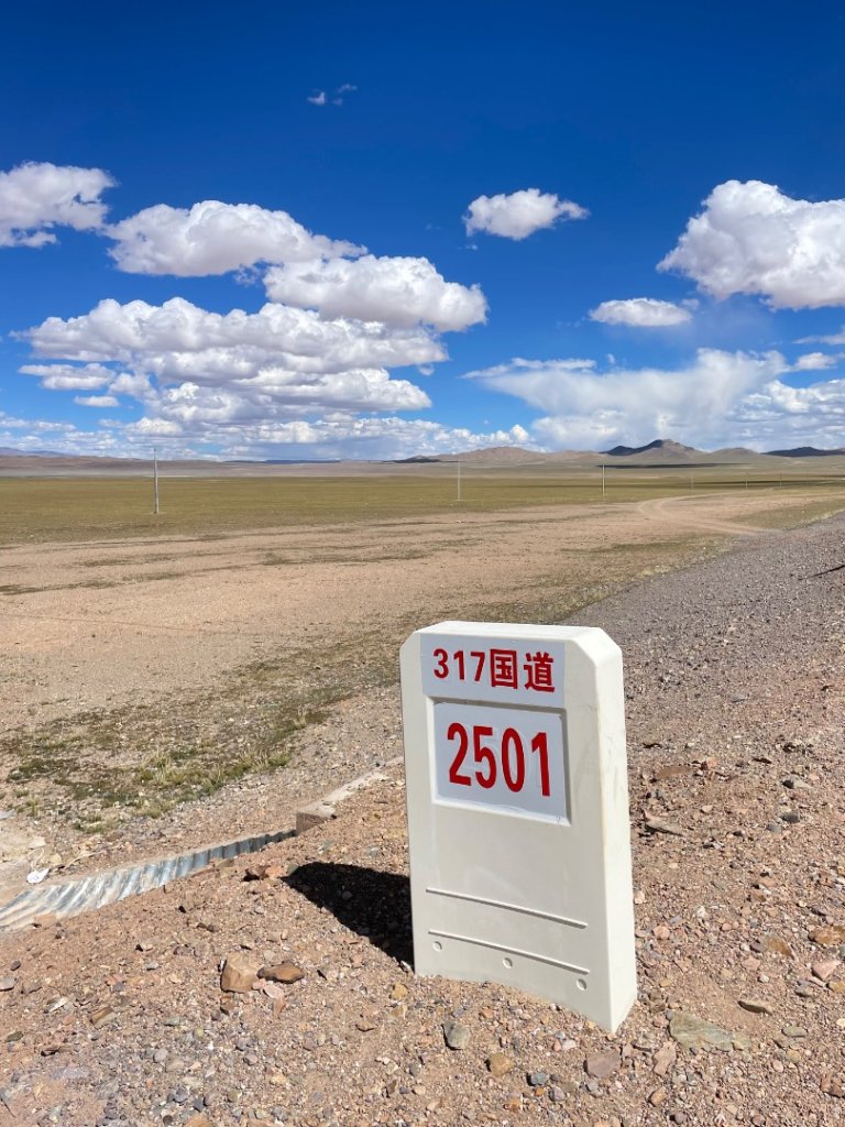川藏318熱門的卡點-尼瑪-當惹擁措-大地之樹-雅丹地貌聖象天門_2905186