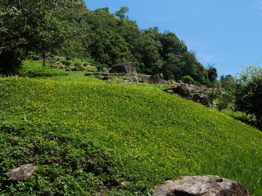 貓囒山步道_969258