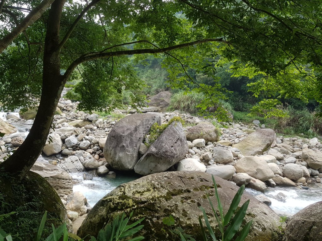  南庄 ~ 蓬萊溪護魚步道_477825