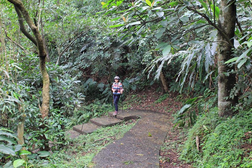 槓子寮山及砲台左進右出_349365