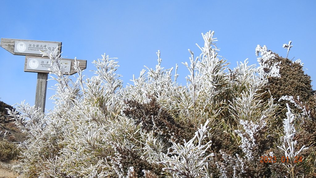 雪,白了山頭.雲,活了天空-寒流追雲趣,第七次合歡山主/東/北峰獨攀單攻(車接駁)20230124_2004277