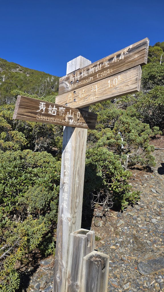 20241124-1130 南二段10座百岳_2665606