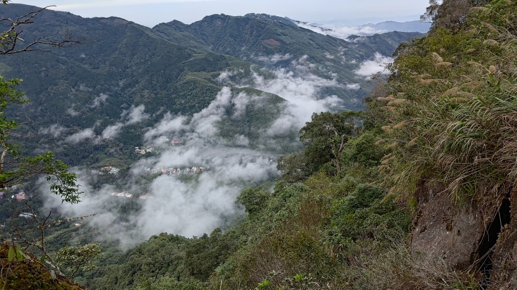 溪頭鳳凰山封面圖