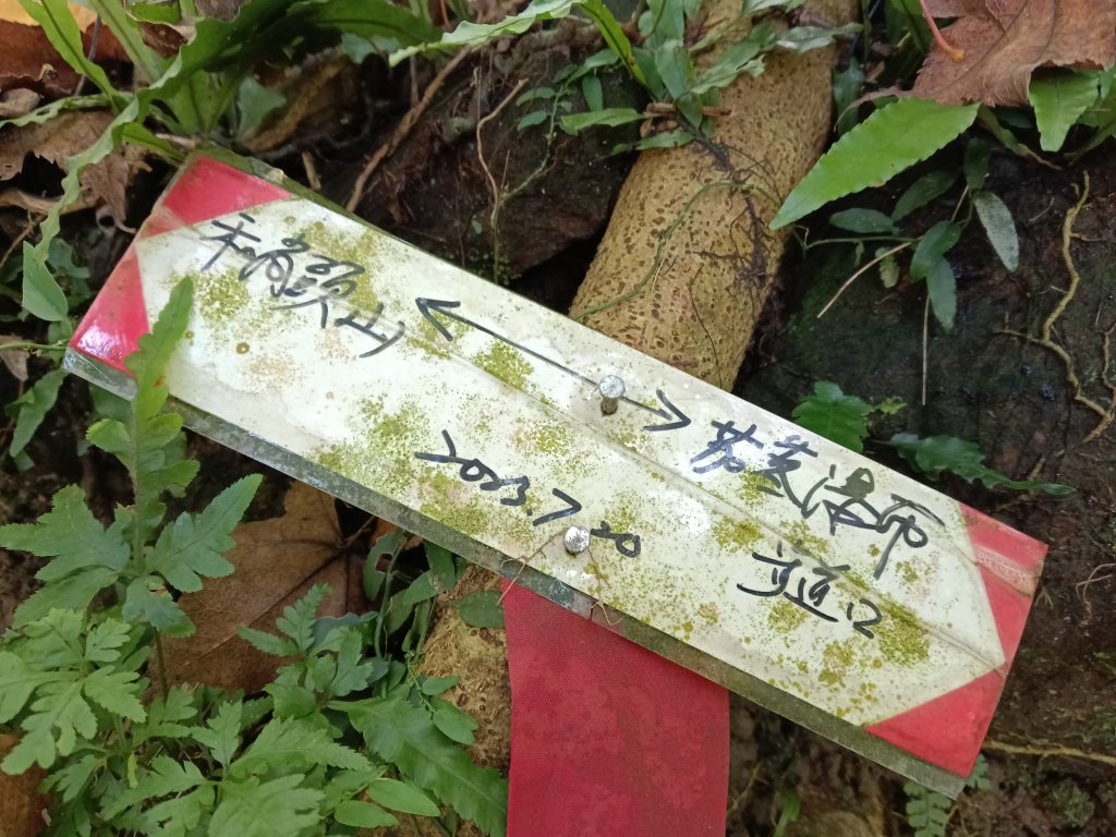 汐止區茄苳越嶺古道+上鹿窟崙山+九層坪山+四分尾山+大尖山8字走_2981548