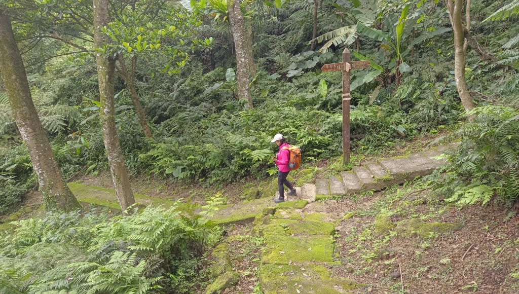 (姨婆趴趴走)第四十七集:新北土城大暖坑山等諸峰攀登連走_2738797