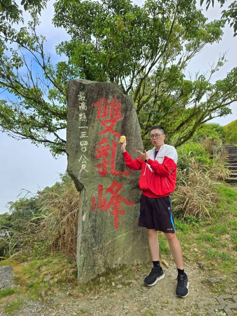 太麻里金針山_2872623