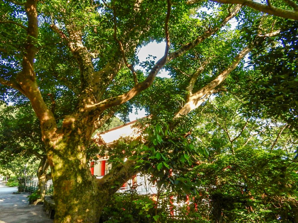 觀音山硬漢嶺夕陽_393675