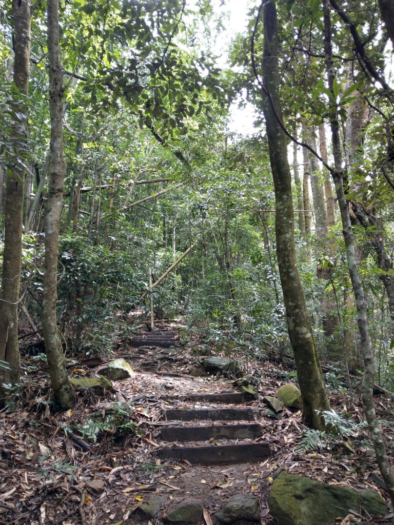 1090828谷關七雄之白毛山_1083788