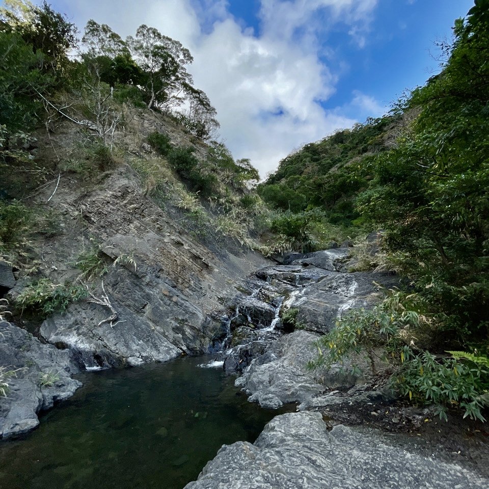 1150123里龍山_2986733