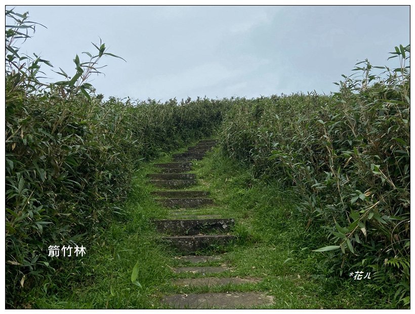 灣坑頭山(小百岳)內寮線、大溪線、草嶺線連走_2529380