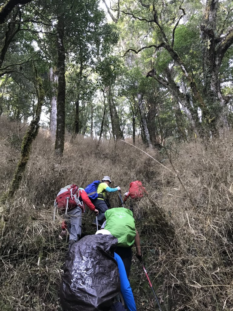 霞喀羅大山,佐藤山順訪佐藤駐在所_1324645