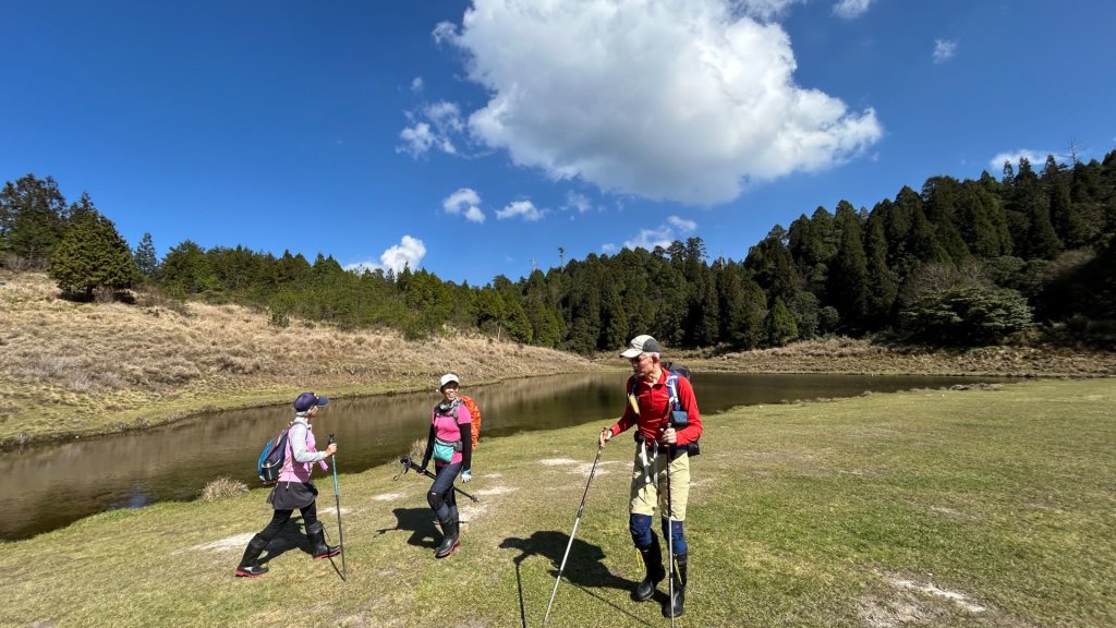 大同加羅湖穆魯洛亞滬庫霞四季警備道_2748264