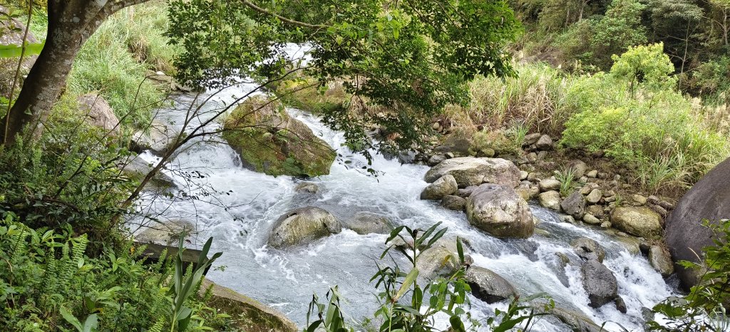 2025/03/16_蓬萊溪護魚步道+萊園坪山_2737575