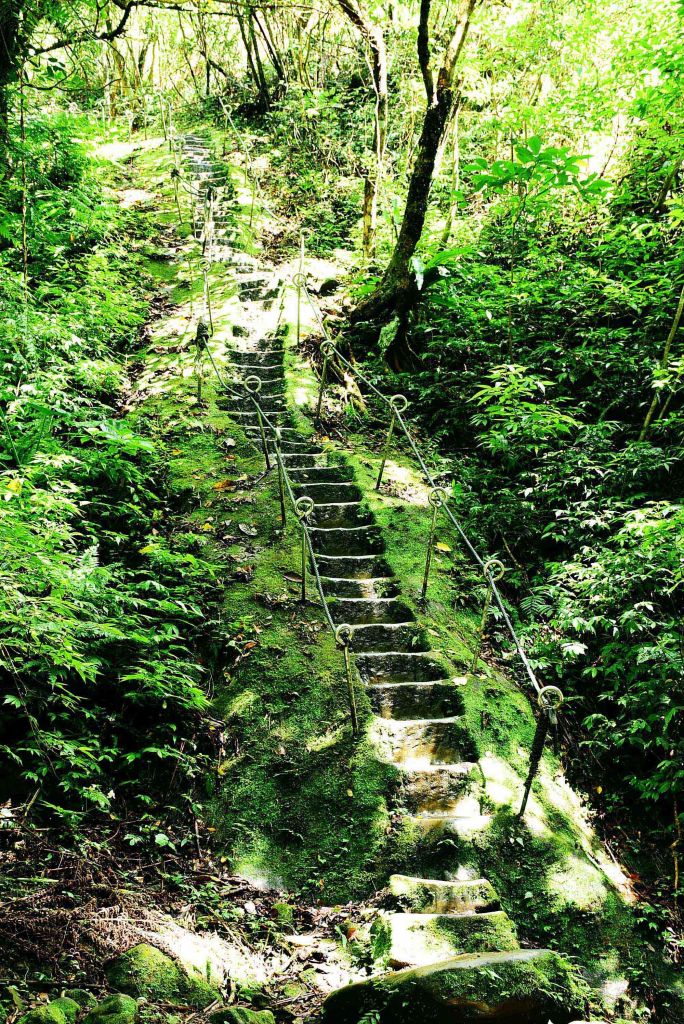 20180826孝子山_396008