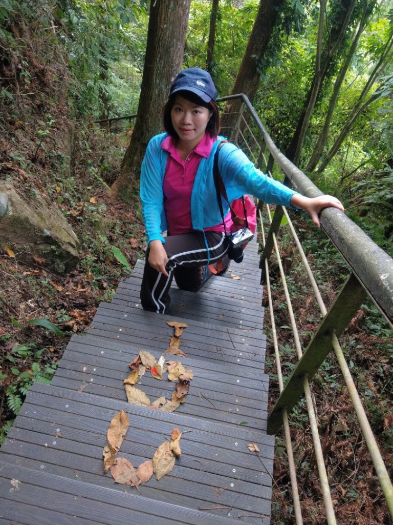 五指山橫向步道_1029538