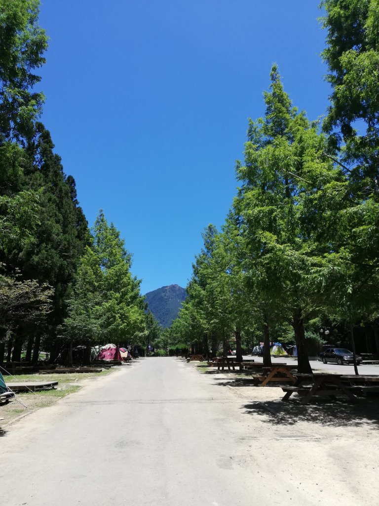 武陵很美，一路走來更美_631607