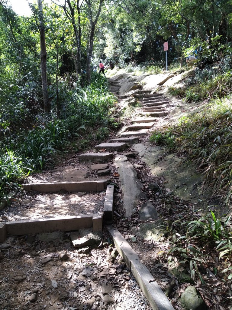 第二次-一天完成五個尋寶任務_1921780