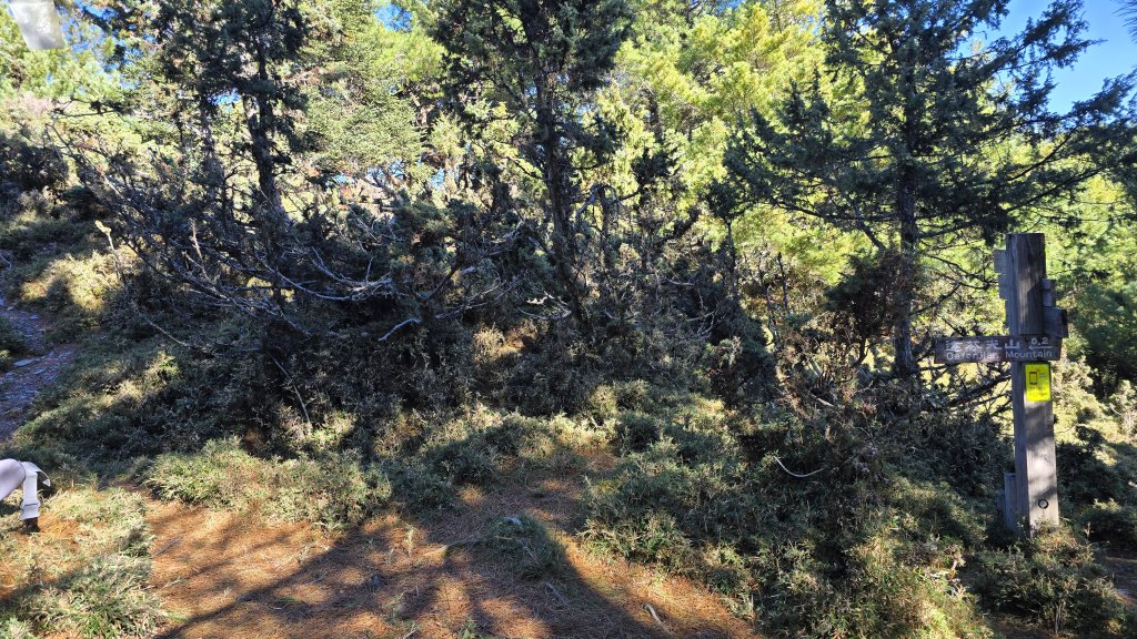 20241124-1130 南二段10座百岳_2665490