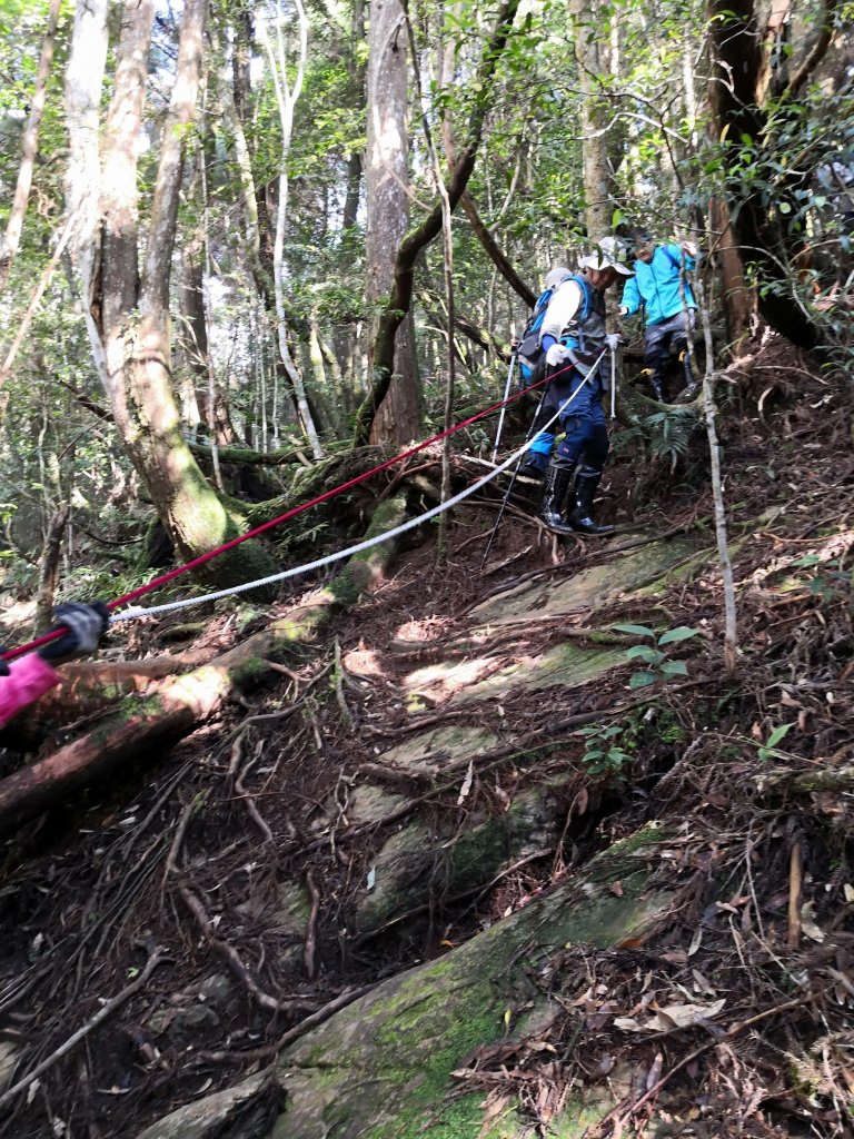 油羅山之趴_439832