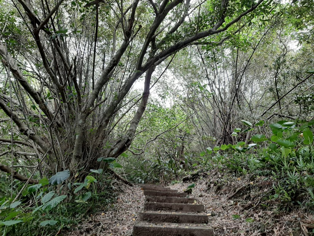 不高，但，超難找二座小百岳_1143511