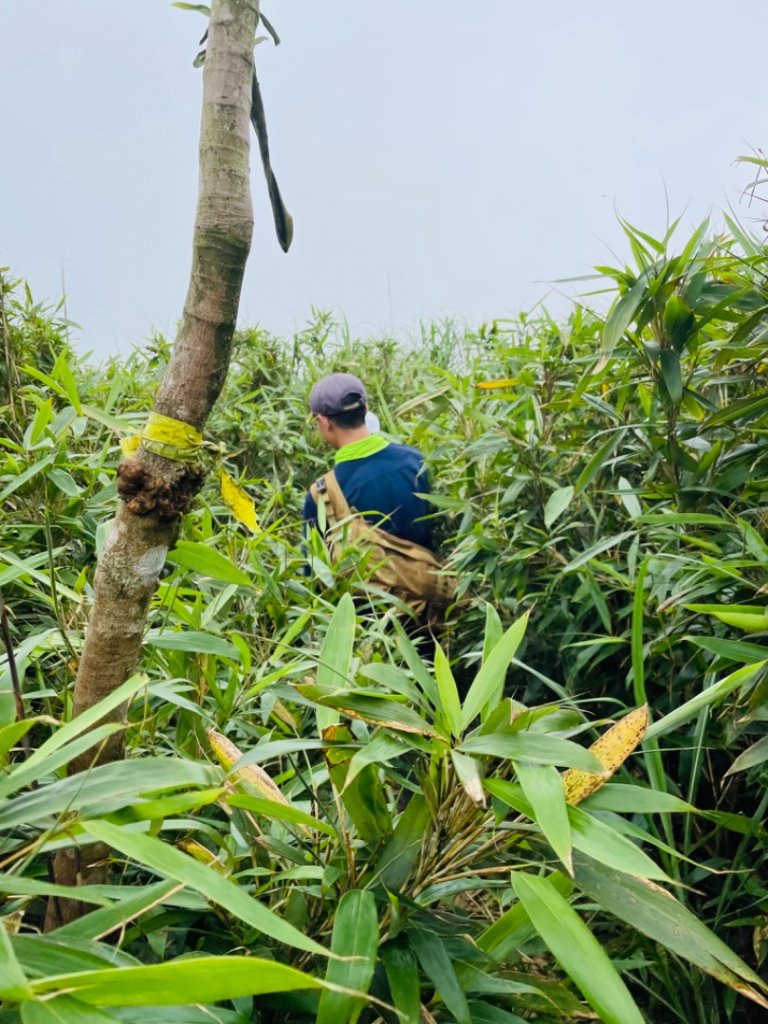 淡蘭中路（暖暖車站-十分車站）_1685457
