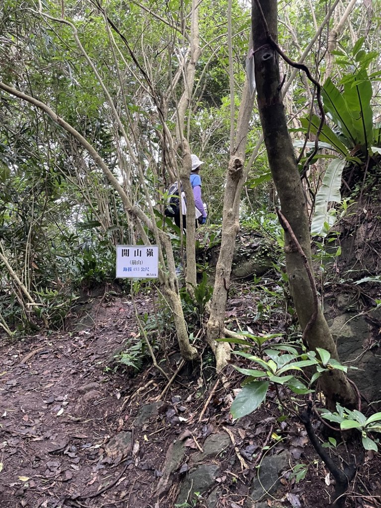 觀音山秘境_2634047