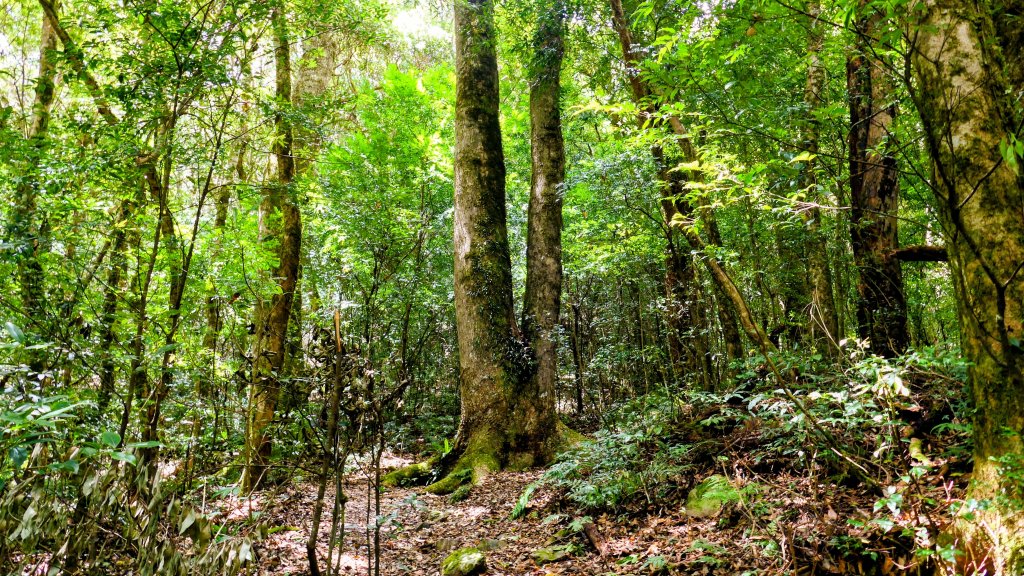 李棟山莊_2882506