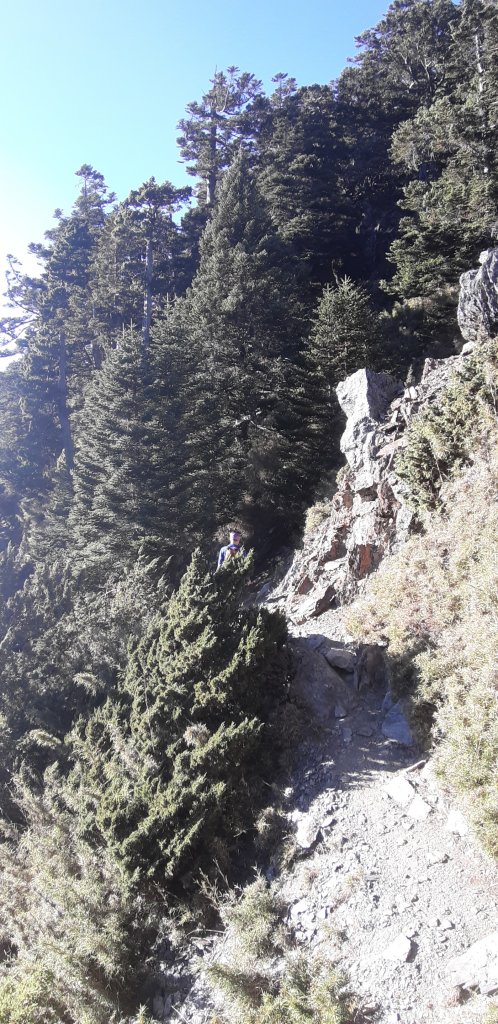 玉山前四峰之旅_869357