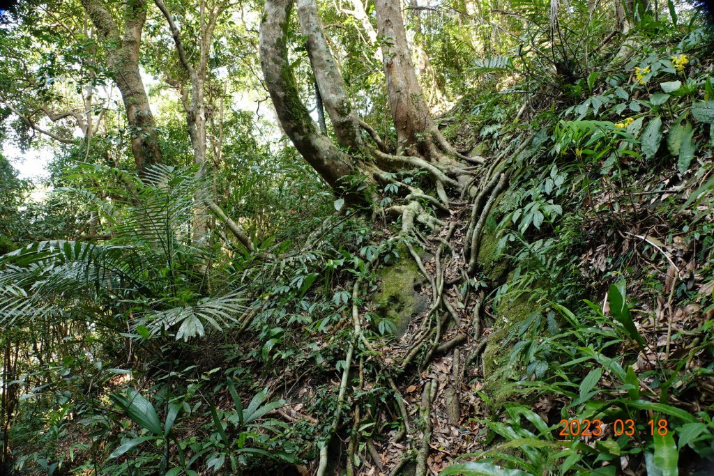 新竹 關西 馬武督山、蓮包山_2076580