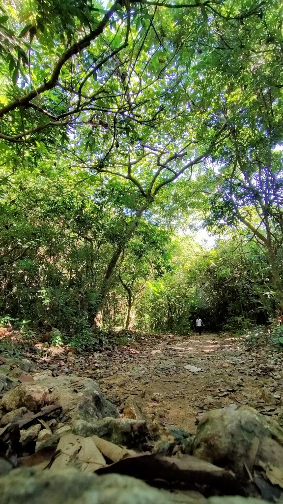 柴山三角點_1484300