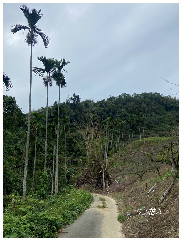 尾文坑山(台中、和平)_2653364