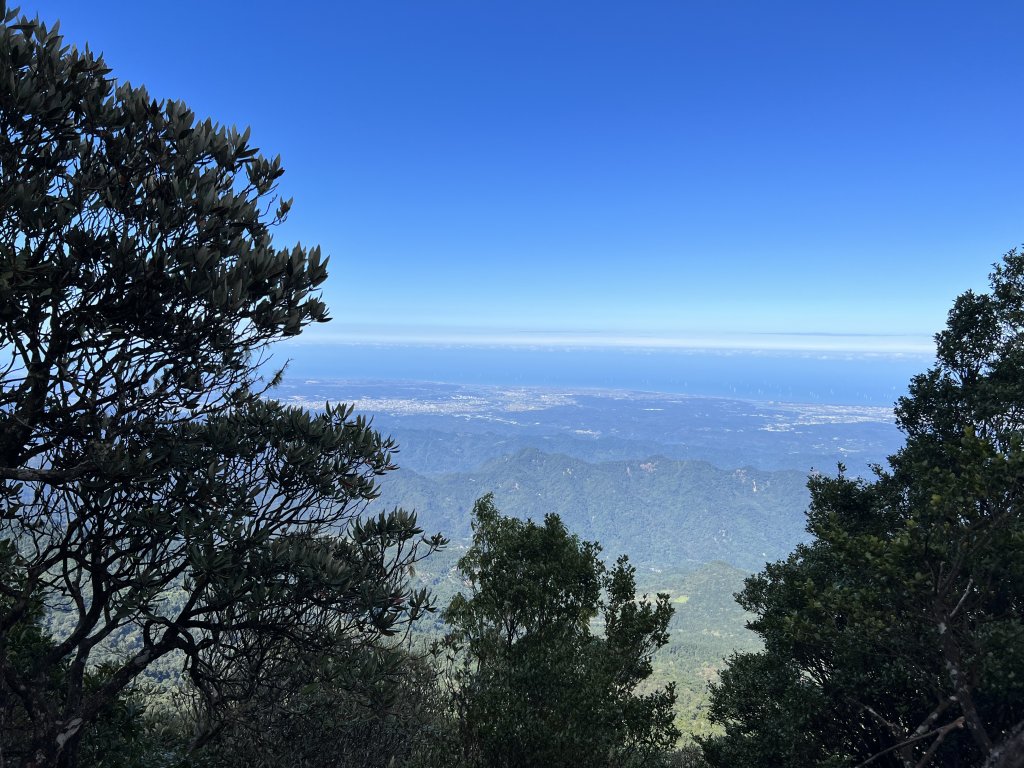 加里山 大坪登山口 杜鵑嶺 加里山P形_1901003