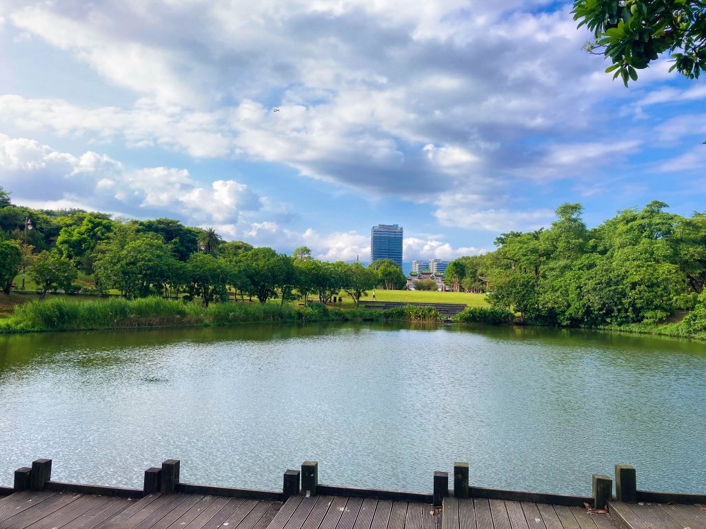 2023 南港公園 (健康大榖東，臺北趴趴走)_2280047