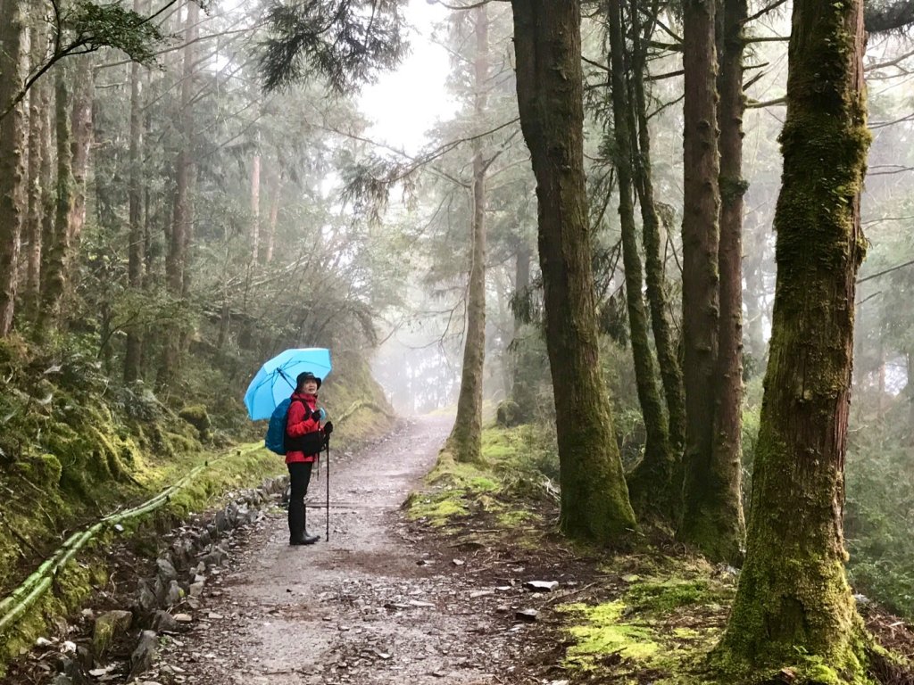 雨霧散遊太平山_885863