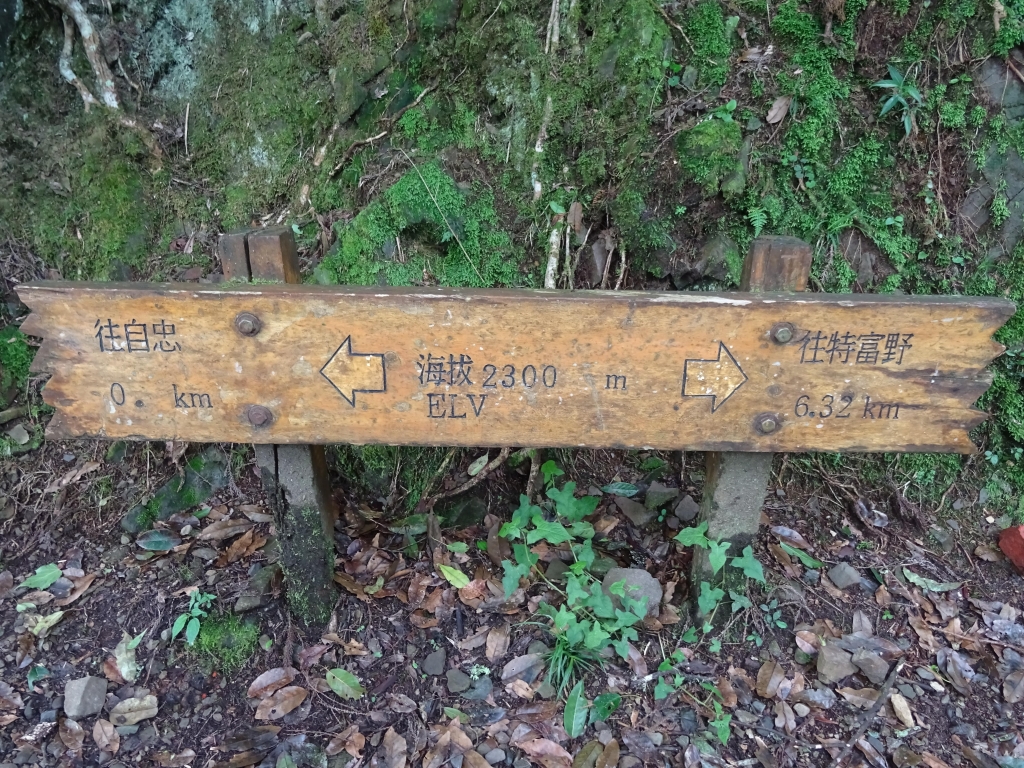 縱走雲霧密森 特富野_46207