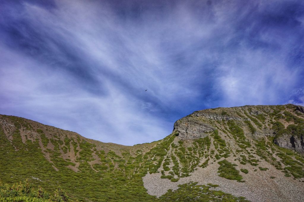 雪山主東行_399164