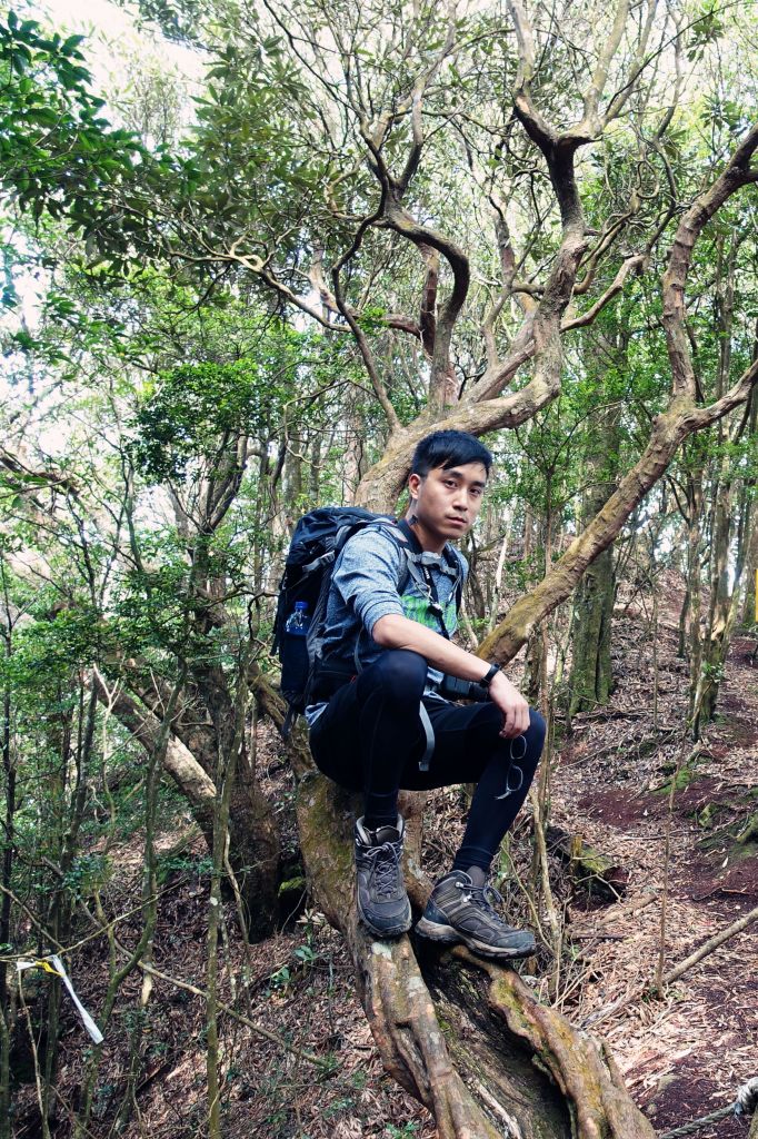 苗栗。加里山 大O型 2018.03.1_293741