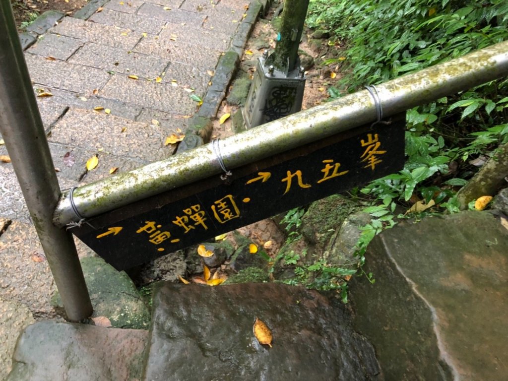 虎山黃禪園1071010_431428