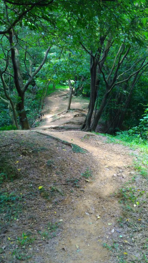 106.06.16鶯歌石孫龍步道O型_191341