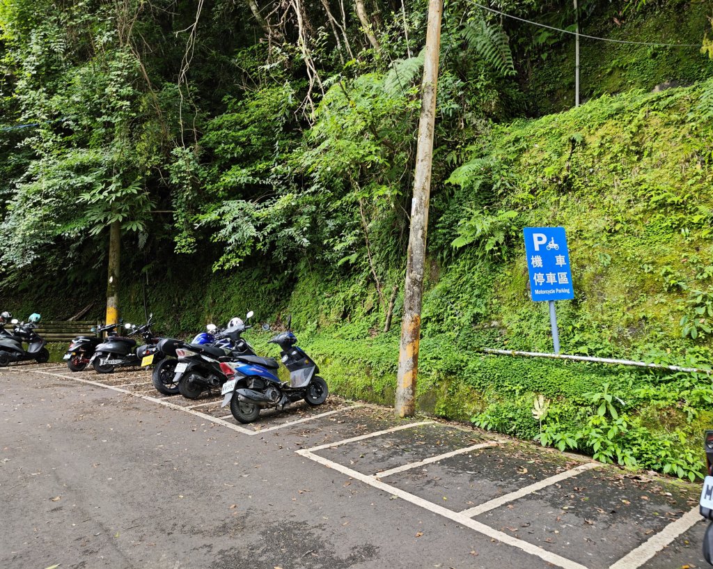 2025_0713 拉拉山神木群步道_2837254