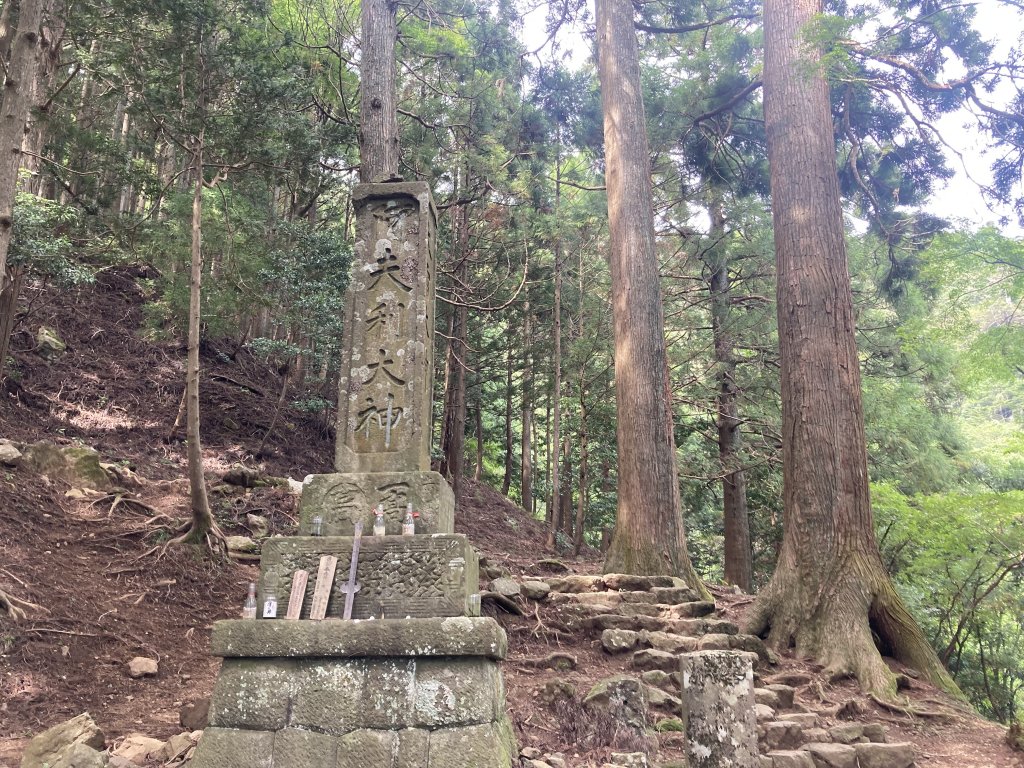 丹沢大山封面圖